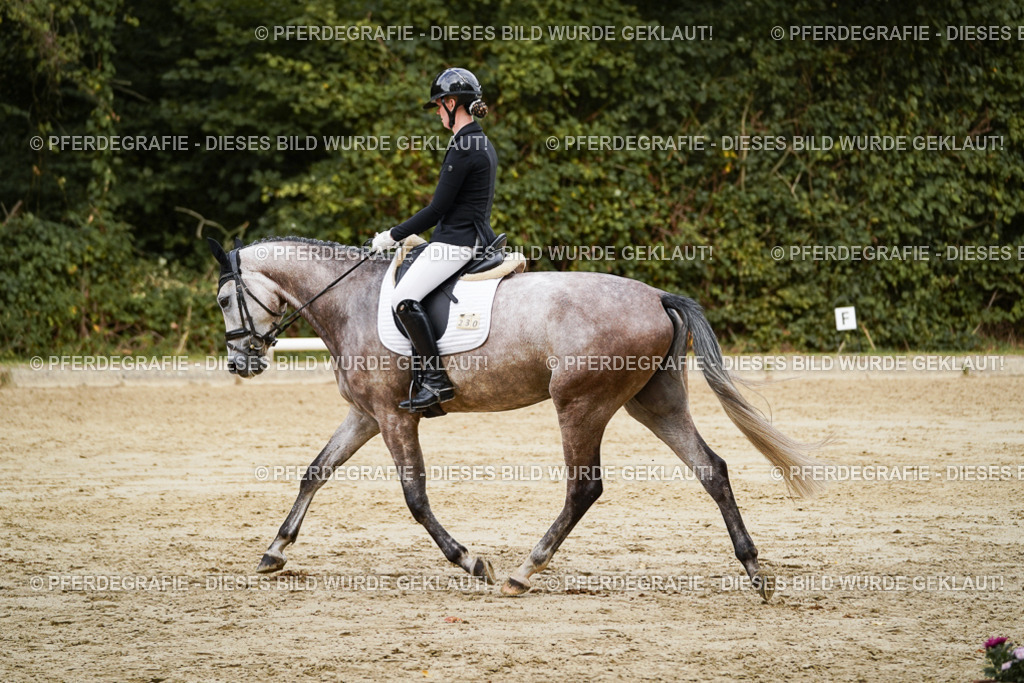 DSC00718 | Pferdegrafie