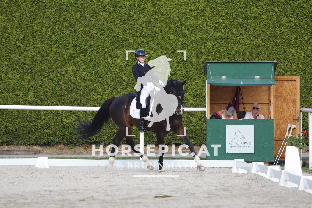 0P6A3737 | Willkommen bei Brunnmayr - Design & Fotografie – Ihrem Spezialisten für Reitturniere und Pferdeveranstaltungen in Oberösterreich, Salzburg und Bayern! Seit über 17 Jahren sind wir leidenschaftlich dabei.