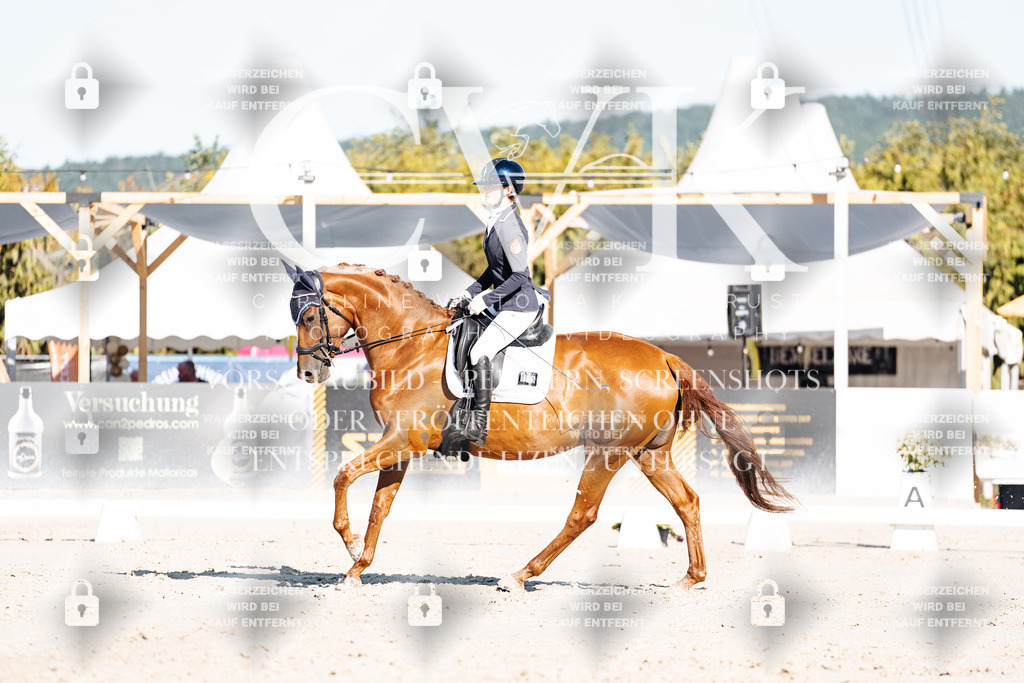 CK907334 | Turnierfotografie Pferdefotografie Trier Rheinland-Pfalz Pferdesport Reitsport Tierfotografie Sportfotografie Pferdevideo Pferdevideografie Equestrianvideography equestrianphotography  - Realisiert mit Pictrs.com