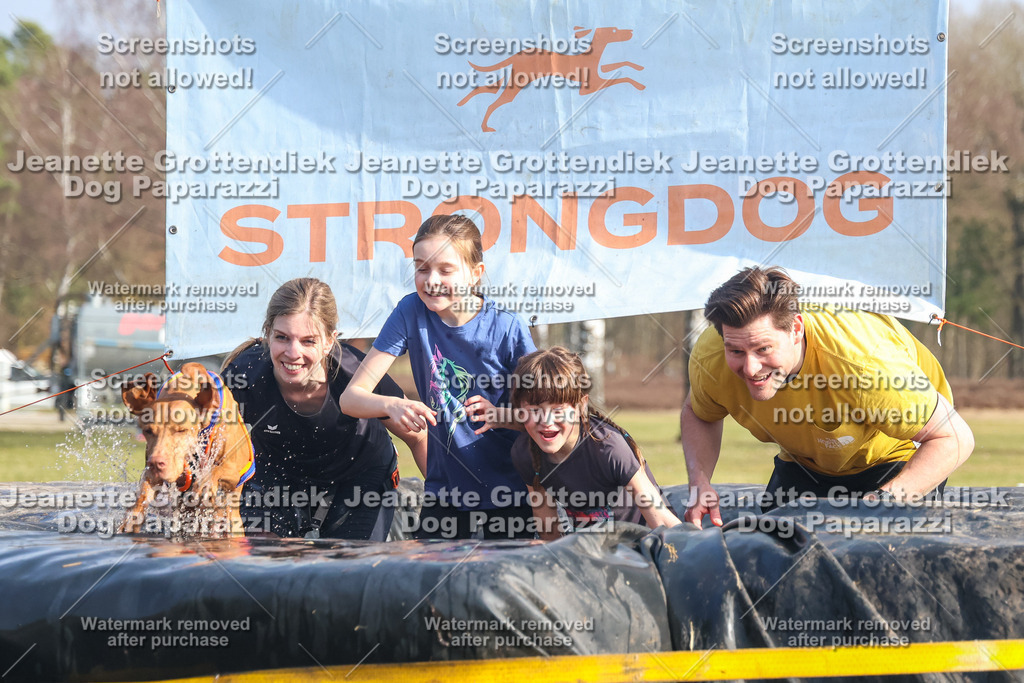 Dog Paparazzi - Strongdog North Mrz26-2301 | Dog Paparazzi Jeanette Grottendiek Fotografie & Videografie - Realisiert mit Pictrs.com