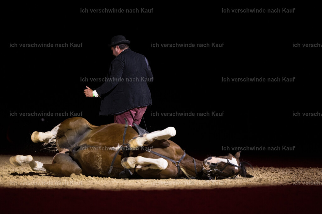 Gala-183 | working equitationturnier fotograf videograf stoibphotography marixx film working equitation deutschland reitsport turnierfotografie eventfotografie equestrian events