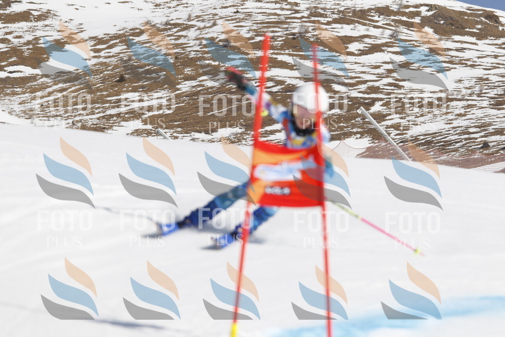 _U3G0561 | holidayphoto