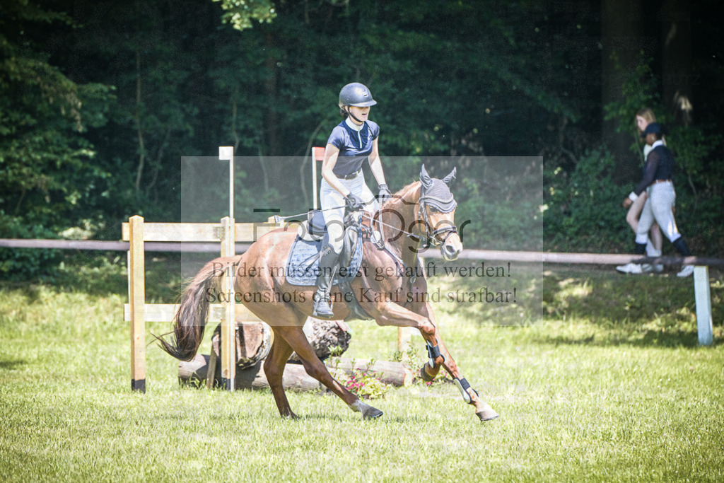 DOS_4777 | Entdecke hochwertige Reitturnierfotos von Foto Oger. Professionell, emotional und authentisch – jetzt Lieblingsmomente im Shop bestellen.Deutschlandweite Turnierfotografie. - Realized with Pictrs.com