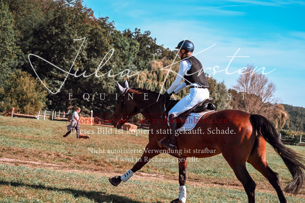 DSC_1085 | Pferde- und Turnierfotografie in Westsachsen. Pferdeportraits, Auftragszeichnungen und intuitive Kunst.