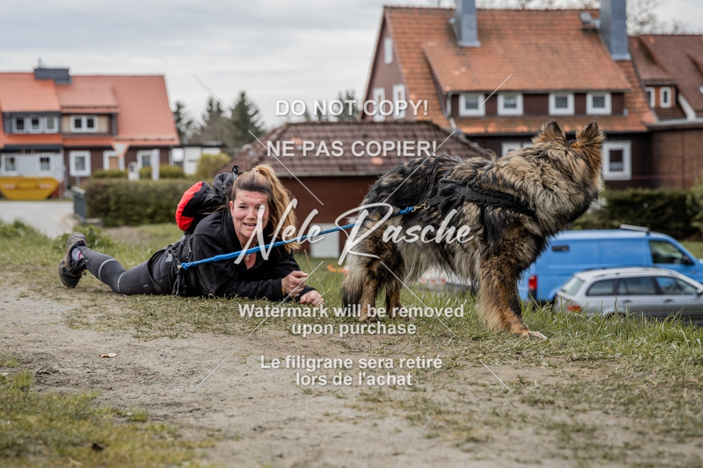 NR__2585 | nelerasche