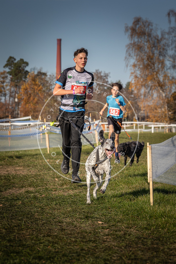 CaniXpix_0L8A8193 | Hundefotografie, Tierfotograf, Pfotenfotografie, Fotoshooting Hund, Hunde Portrait, Hundesport, Hundeportraits, Heideshooting, Hunde, Sportfotograf, Hundefotograf, Turnierhundsport, THS,  - Realisiert mit Pictrs.com