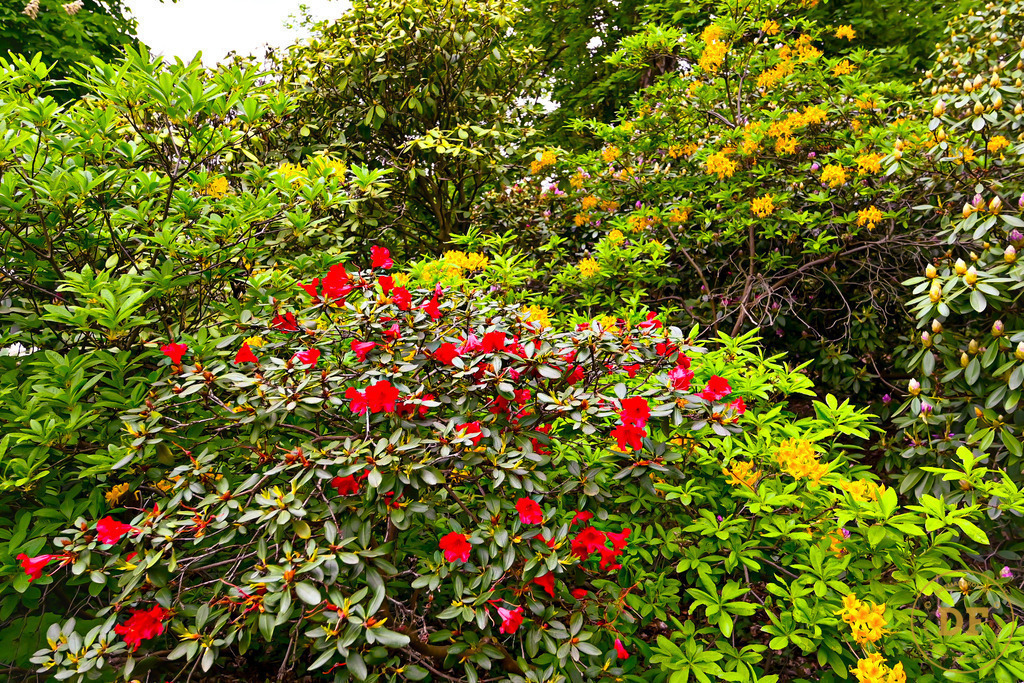 9_DSC8246-2 | Geschenke, Wandbilder und Accessoires mit Motiven aus Dresden und anderen schönen Orten zur Verschönerung Deines zu Hauses und zum verschenken gewünscht? Wähle Deine Lieblingsbild auf dem Produkt Deiner Wahl. 