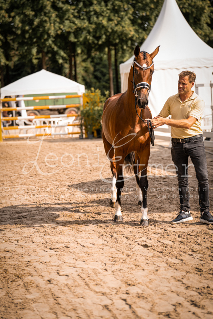 FrER00107 | Leoni Ertmer Photography - Realisiert mit Pictrs.com