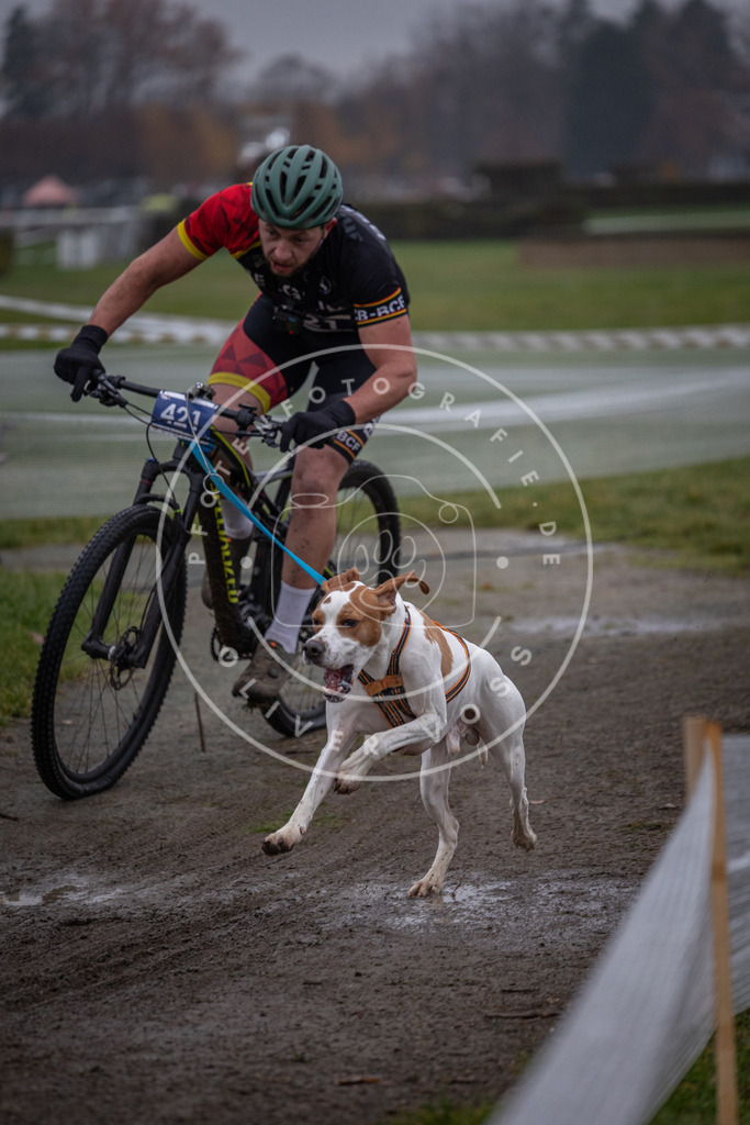 CaniXpix_0L8A1480 | Hundefotografie, Tierfotograf, Pfotenfotografie, Fotoshooting Hund, Hunde Portrait, Hundesport, Hundeportraits, Heideshooting, Hunde, Sportfotograf, Hundefotograf, Turnierhundsport, THS,  - Realisiert mit Pictrs.com