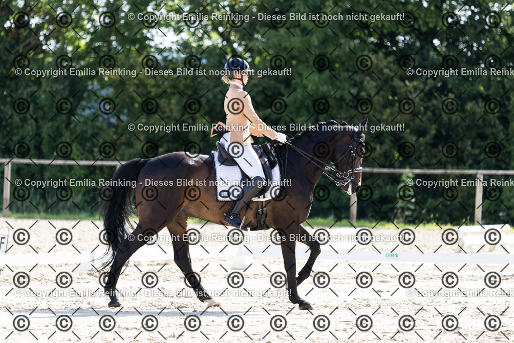 CL5A5801 | Emilia Reinking Fotografie - Realisiert mit Pictrs.com