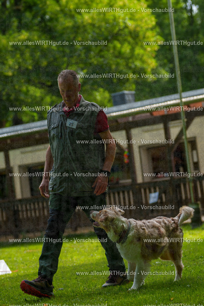 @allesWIRTHgut_Tierfotografie - www.allesWIRTHgut.de - 100150-7R507972 | Professionelle Tierfotografie in Mönchengladbach von Daniel Wirth (allesWIRTHgut). Liebevolle & natürliche Bilder von Hunden & Katzen für unvergessliche Erinnerungen.