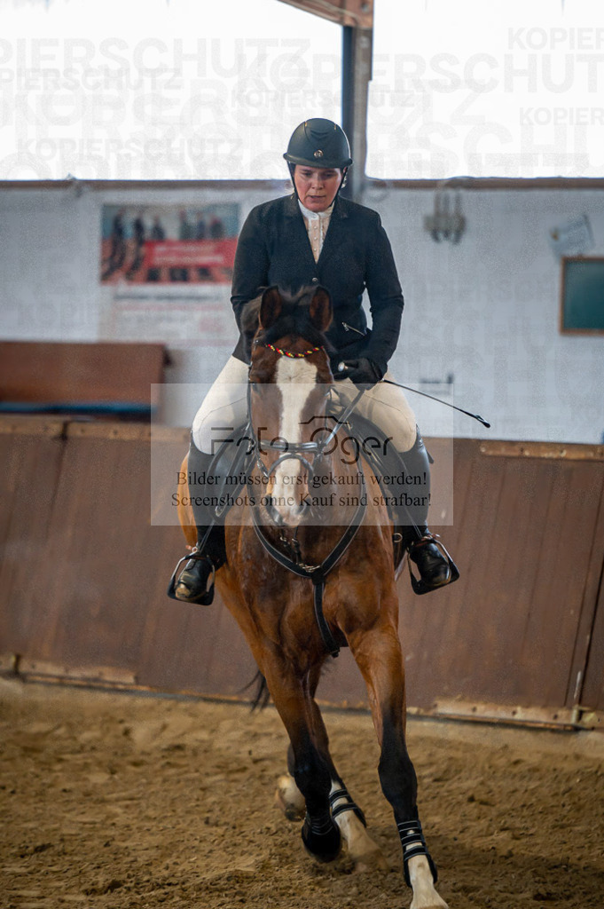 Hallenreittunier Voxtrup 2023 | Entdecke hochwertige Reitturnierfotos von Foto Oger. Professionell, emotional und authentisch – jetzt Lieblingsmomente im Shop bestellen.Deutschlandweite Turnierfotografie. - Realisiert mit Pictrs.com