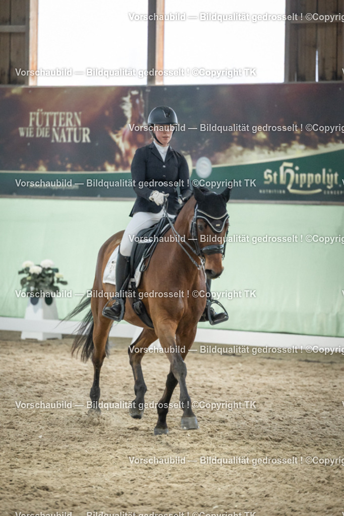 _D5A3565 | Emotionale Pferde- & People-Fotografie rund um Heidelberg, Leimen & Umgebung. Natürliche Fotos von Pferd, Mensch & Familie. Jetzt Termin sichern!