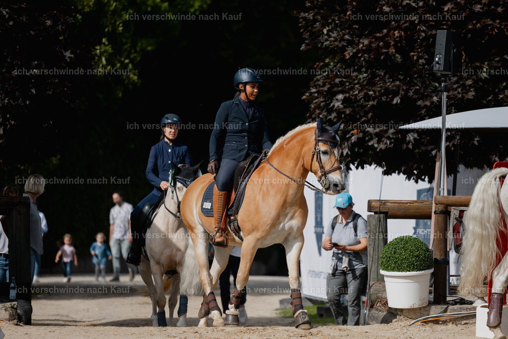Tanesha5FHC2025-21517 | working equitationturnier fotograf videograf stoibphotography marixx film working equitation deutschland reitsport turnierfotografie eventfotografie equestrian events