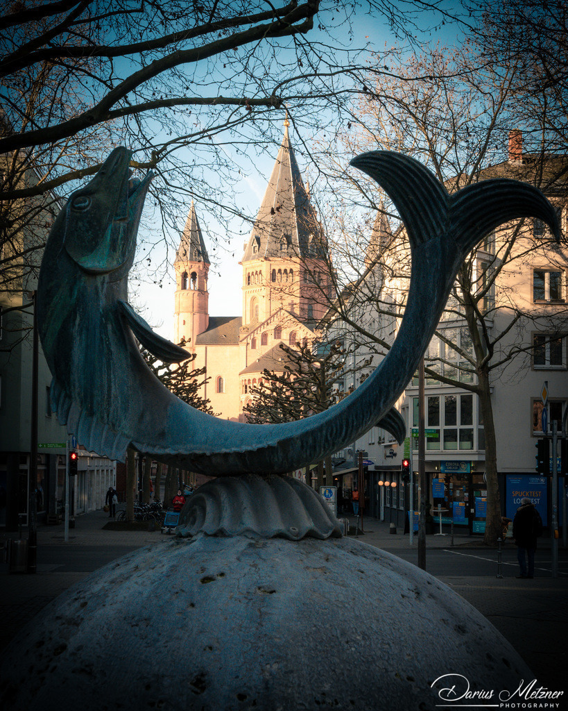 Der Fischtorbrunnen in Mainz | Der Fischtorbrunnen in Mainz