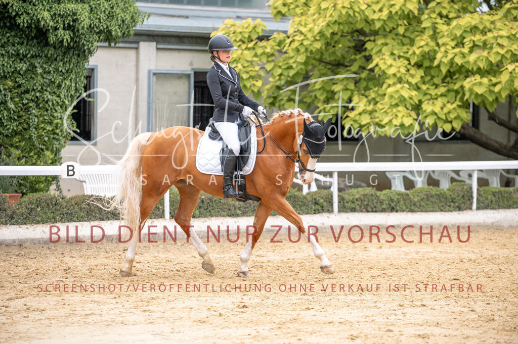 Schugtsche-Aluta25-41.Amat-Dressurprf.A_-400 | Schugtsche Fotografie - Realisiert mit Pictrs.com