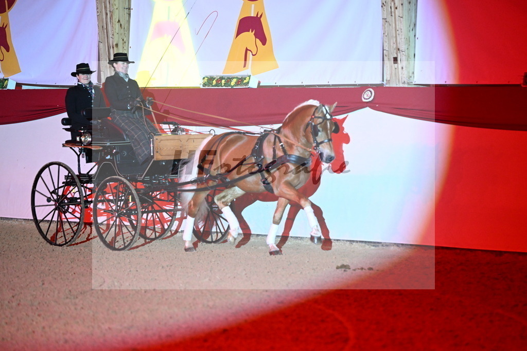 DSP_Avici_As_Karosser_2254546 | hf-fotografie - Realisiert mit Pictrs.com