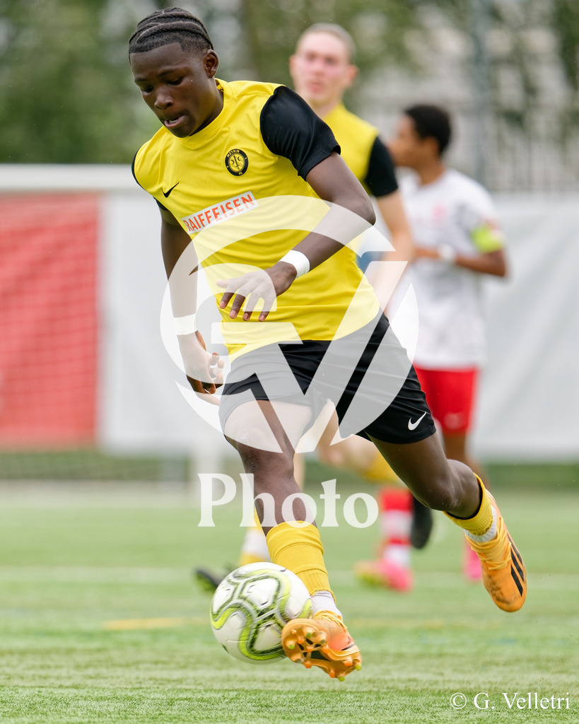 DSC_6780 | Velletri Photo