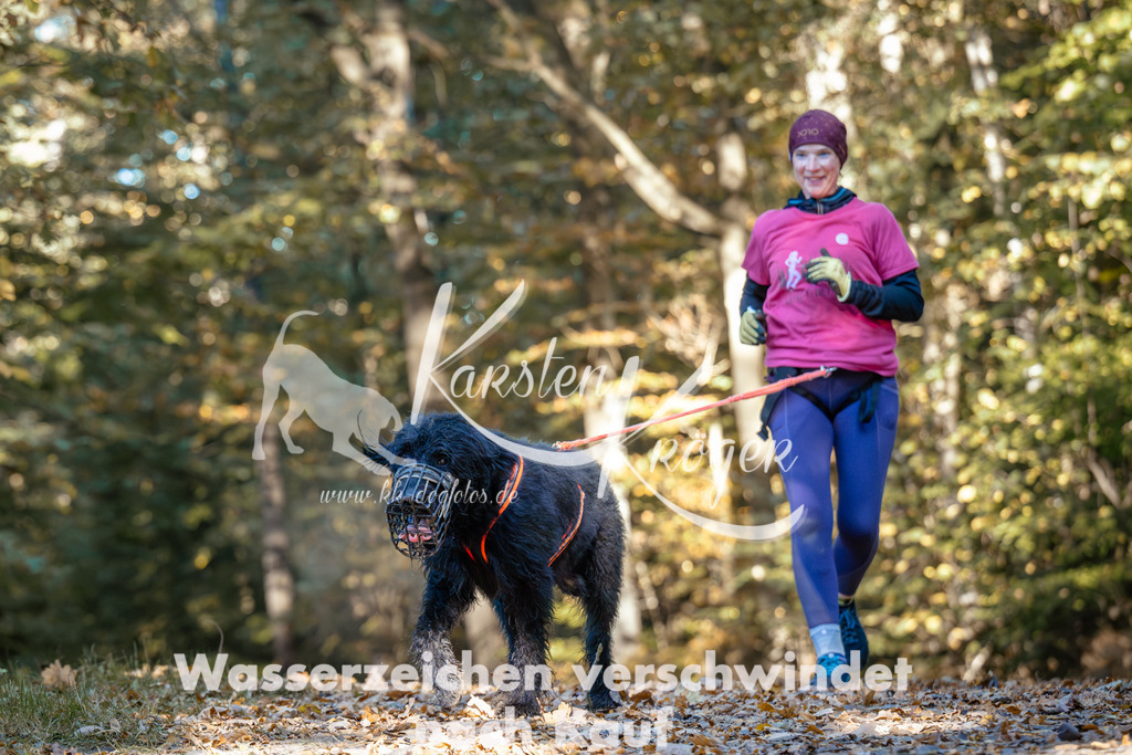 1042_ZZ90754 | kk-dogfotos