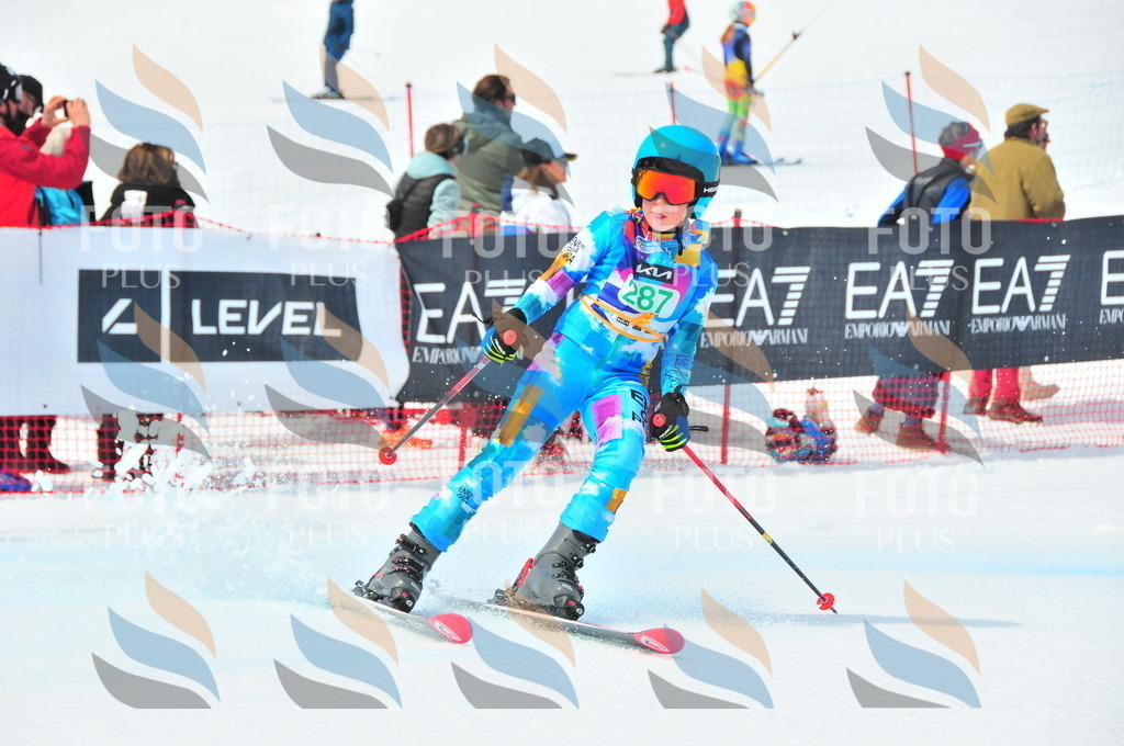 DSC_2677 | holidayphoto