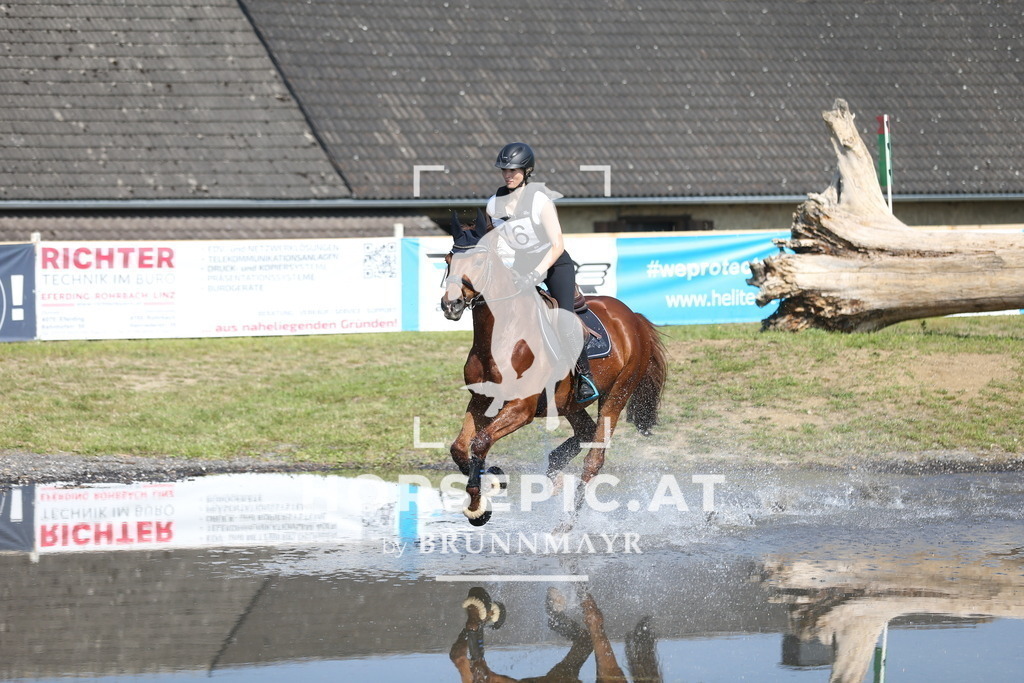 DL2Q1527 | Willkommen bei Brunnmayr - Design & Fotografie – Ihrem Spezialisten für Reitturniere und Pferdeveranstaltungen in Oberösterreich, Salzburg und Bayern! Seit über 17 Jahren sind wir leidenschaftlich dabei.