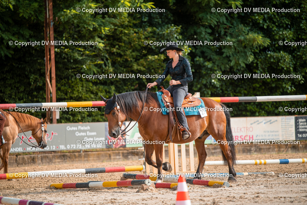 ZS3_9133 | dv-media-shop - Realisiert mit Pictrs.com