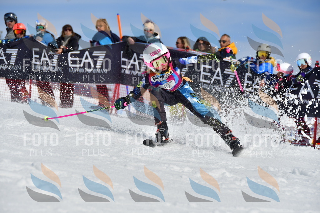 _DSC7420 | holidayphoto