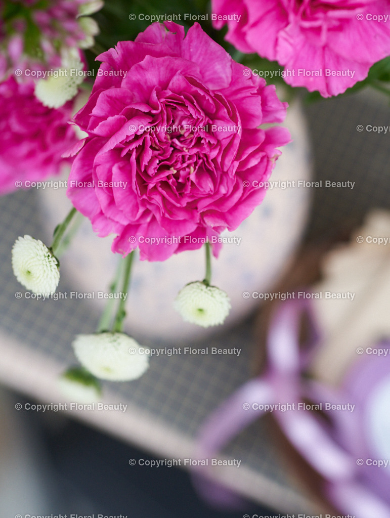 Pinker Blumenstrauß vor grün-weißer Wand | Nelken von oben in Vase - Realisiert mit Pictrs.com
