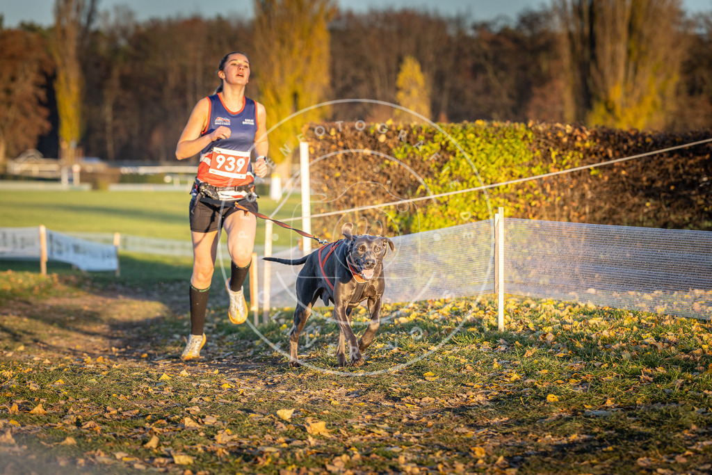 CaniXpix_DV3A5336 | Hundefotografie, Tierfotograf, Pfotenfotografie, Fotoshooting Hund, Hunde Portrait, Hundesport, Hundeportraits, Heideshooting, Hunde, Sportfotograf, Hundefotograf, Turnierhundsport, THS,  - Realisiert mit Pictrs.com