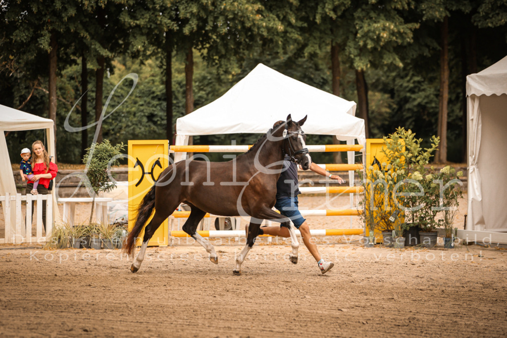 10.-12.Elite00054 | Leoni Ertmer Photography - Realisiert mit Pictrs.com