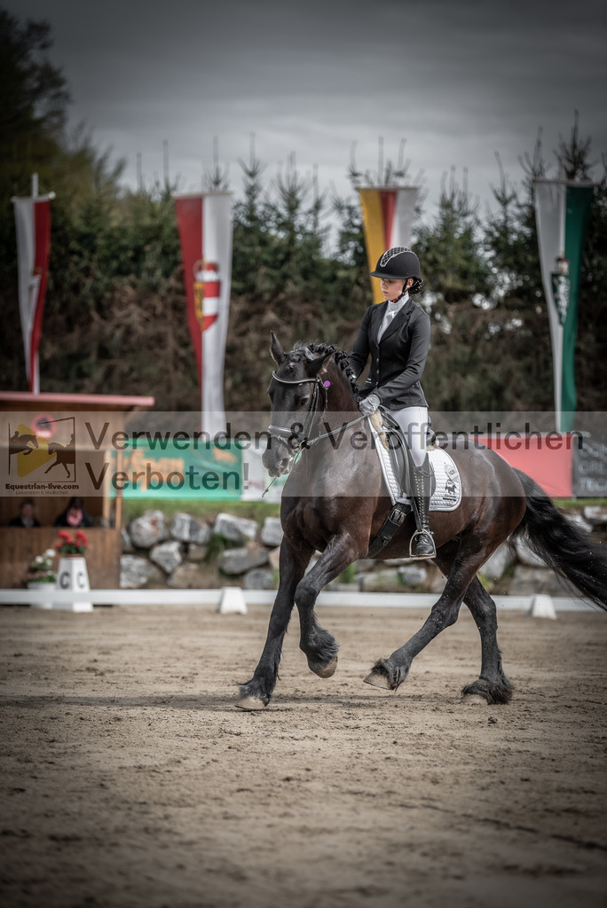 DSC_9203 | equestrian-live-com