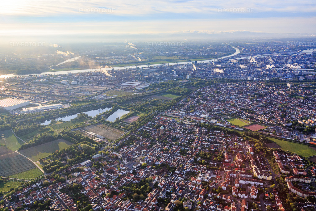 Luftbild: Ortsansicht am Morgen von Norden bis zur BASF am Rhein im Ortsteil Edigheim in Ludwigshafen im Bundesland Rheinland-Pfalz in Deutschland. Foto: IMG_088647.jpg vom 20.05.2016 durch Werner Riehm/FLY-FOTO.de