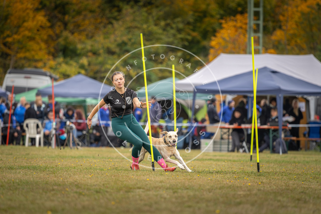 Pfotenfotografie_DV3A3826 | Hundefotografie, Tierfotograf, Pfotenfotografie, Fotoshooting Hund, Hunde Portrait, Hundesport, Hundeportraits, Heideshooting, Hunde, Sportfotograf, Hundefotograf, Turnierhundsport, THS,  - Realisiert mit Pictrs.com