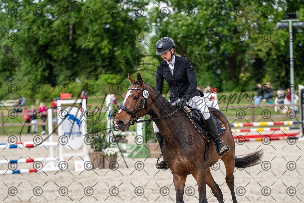 KPT_6544 | andre_photographic