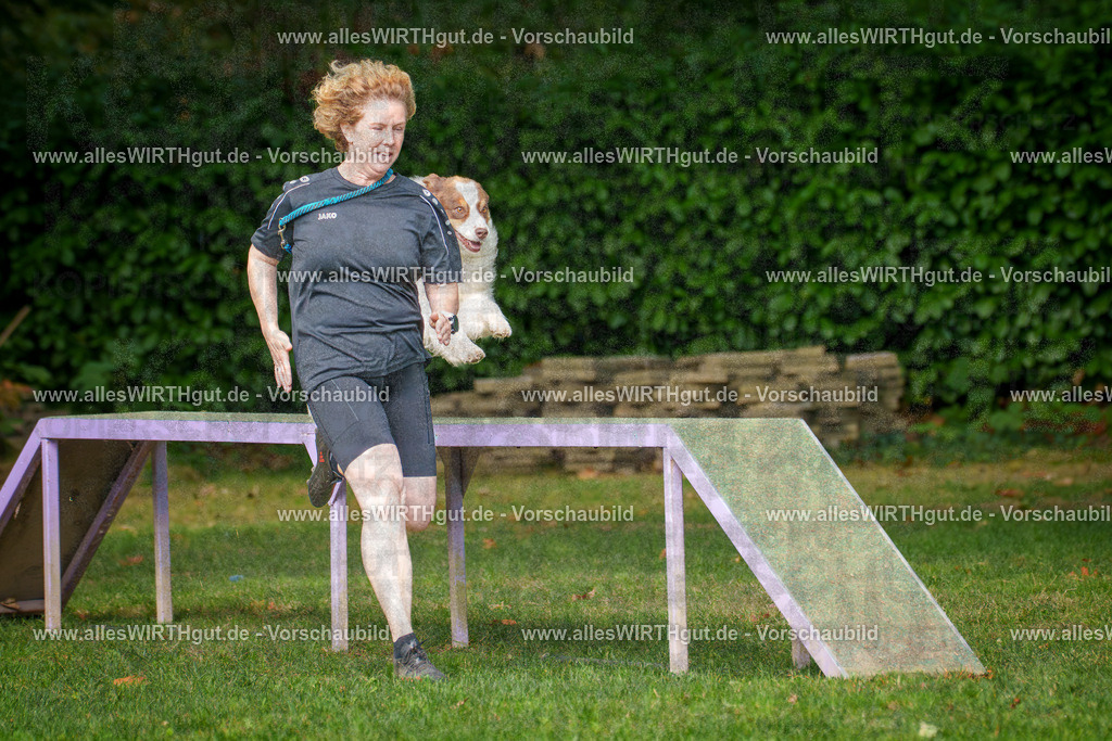 THS_Turnier_27-09-2026-allesWIRTHgut_Tierfotografie-7R507254 | Professionelle Tierfotografie in Mönchengladbach von Daniel Wirth (allesWIRTHgut). Liebevolle & natürliche Bilder von Hunden & Katzen für unvergessliche Erinnerungen.