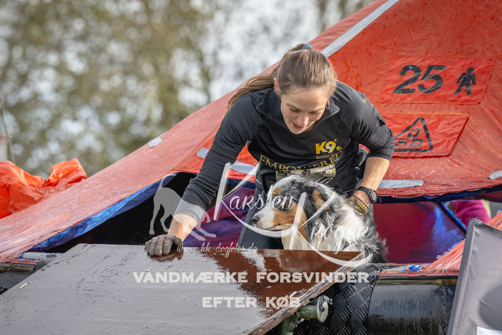 1216-93104 | kk-dogfotos