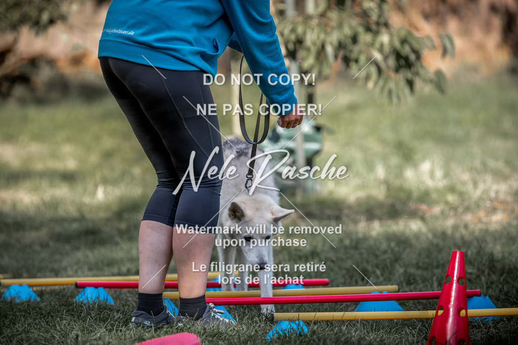 nelerasche_slaw24Sa_121 | nelerasche