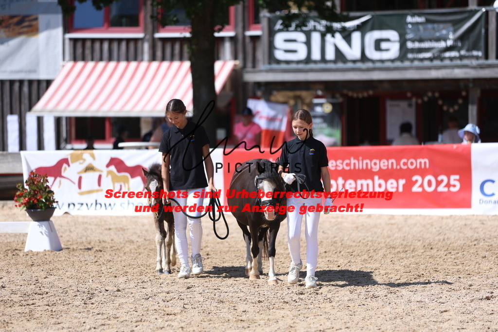 Fohlenschau_Schwäbisch_Hall_IMPRESSIONEN_10 | lmwpictures - Realisiert mit Pictrs.com