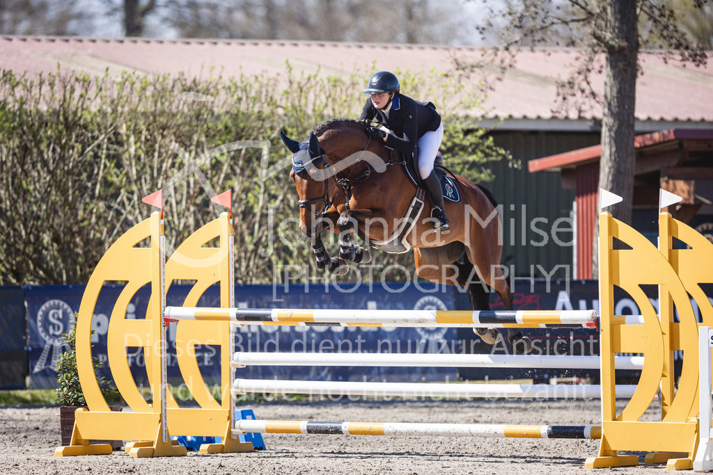 250408_Mühlen_SprPf-L-399 | Deine schönsten Turniermomente als professionelle Fotos! Entdecke hochwertige Pferdesport-Fotografie im Online-Shop. Jetzt Fotos finden & bestellen!