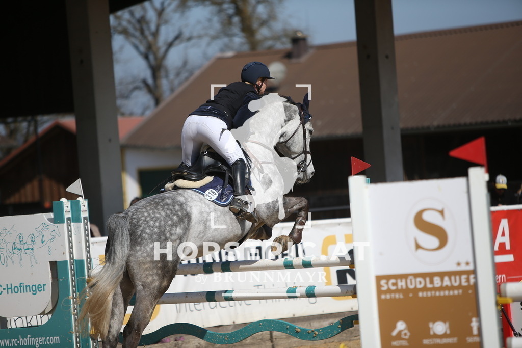 AS8V6097 | Willkommen bei Brunnmayr - Design & Fotografie – Ihrem Spezialisten für Reitturniere und Pferdeveranstaltungen in Oberösterreich, Salzburg und Bayern! Seit über 17 Jahren sind wir leidenschaftlich dabei.