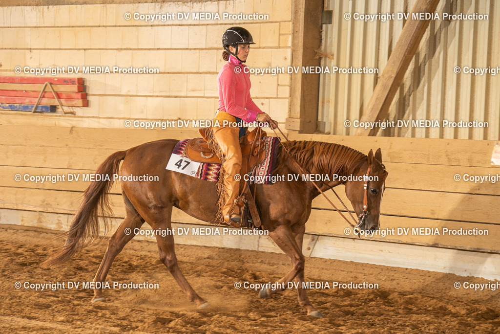 NID03496 | dv-media-shop - Realisiert mit Pictrs.com