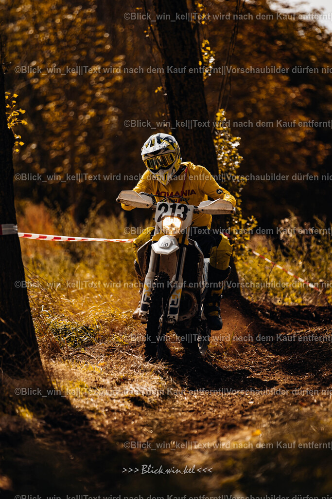 E68A1517 | blick_win_kel