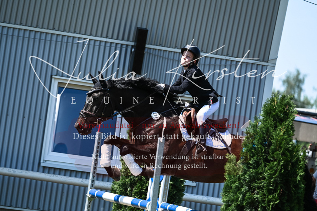 DSC_0358 | Pferde- und Turnierfotografie in Westsachsen. Pferdeportraits, Auftragszeichnungen und intuitive Kunst.
