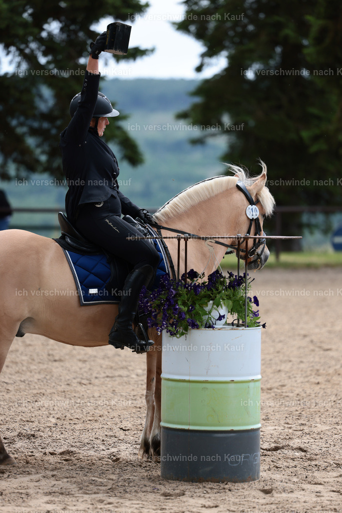 KlasseE_Stoibphotography_CAM22339.JPG | working equitationturnier fotograf videograf stoibphotography marixx film working equitation deutschland reitsport turnierfotografie eventfotografie equestrian events