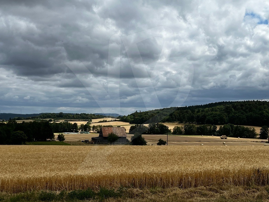 Gold & Grey | Photographs between movement and pause. Quiet moments, found in existing light. - Realisiert mit Pictrs.com
