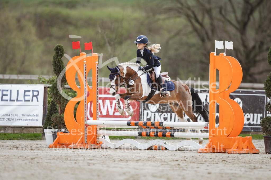 240330_Fruehlingsfest_Stilspring-WB-575 | Deine schönsten Turniermomente als professionelle Fotos! Entdecke hochwertige Pferdesport-Fotografie im Online-Shop. Jetzt Fotos finden & bestellen!