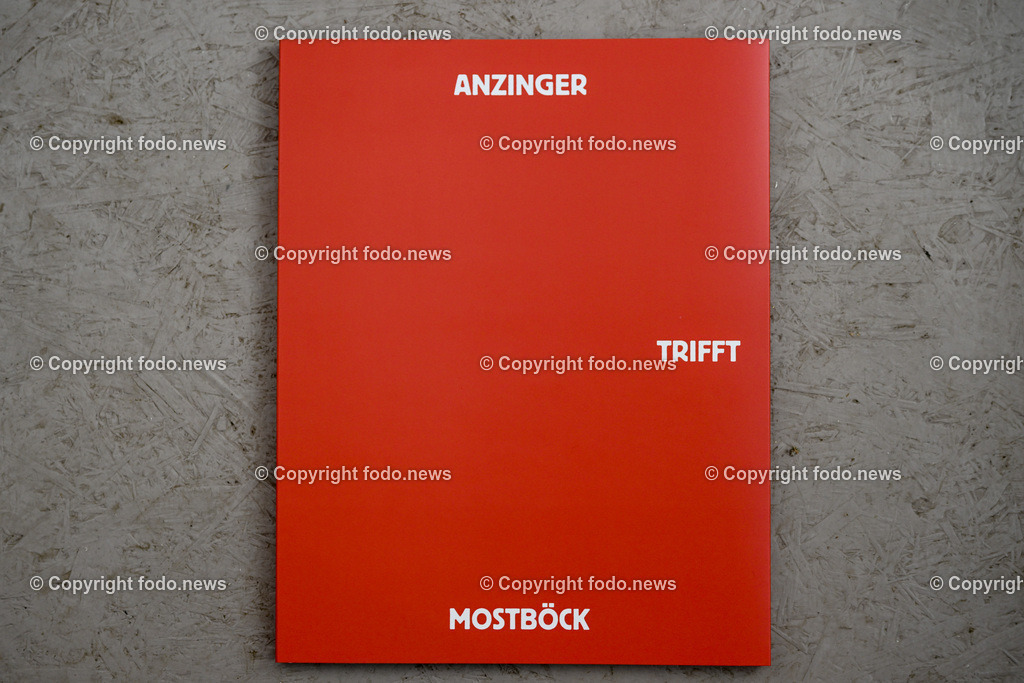Steyr_ Galerie Schloss Lamberg_ 21.04.2023-13 | 21.04.2023, Steyr, AUT, Schloss Lamberg, Galerie, im Bild Ausstellung Anzinger trifft Mostboeck