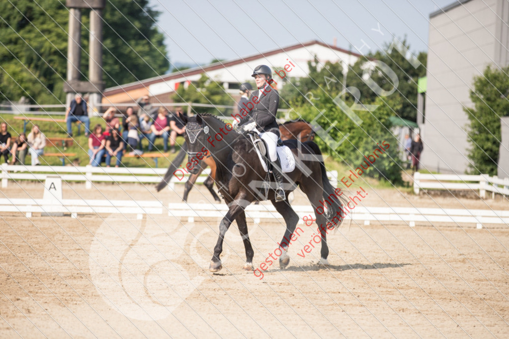 IMG_2272 | Sport-, Event- und Tierfotos in Profiqualität. Einfach auswählen, bestellen und herunterladen. Dein Moment – perfekt festgehalten.