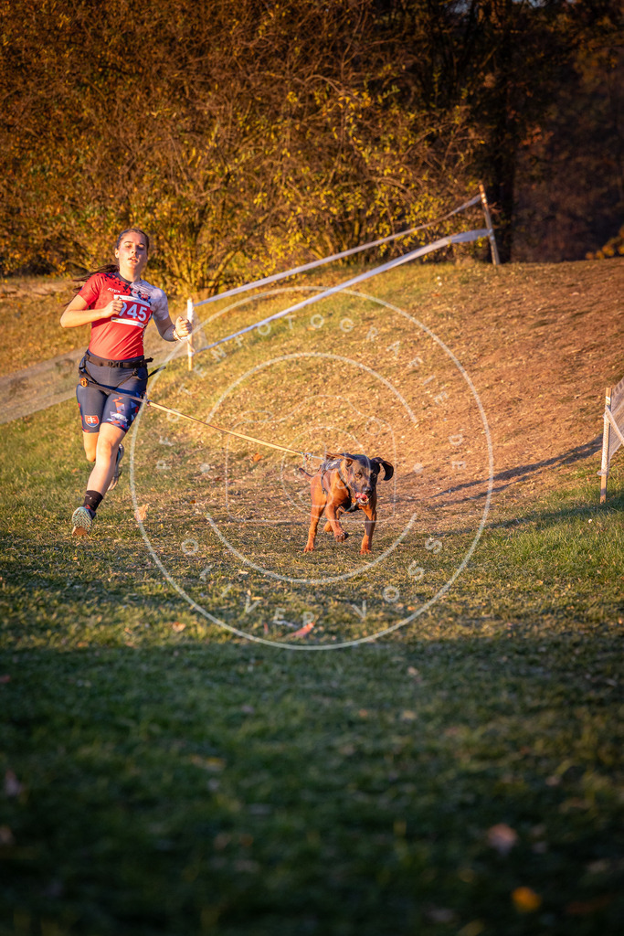 CaniXpix_0L8A1948 | Hundefotografie, Tierfotograf, Pfotenfotografie, Fotoshooting Hund, Hunde Portrait, Hundesport, Hundeportraits, Heideshooting, Hunde, Sportfotograf, Hundefotograf, Turnierhundsport, THS,  - Realisiert mit Pictrs.com