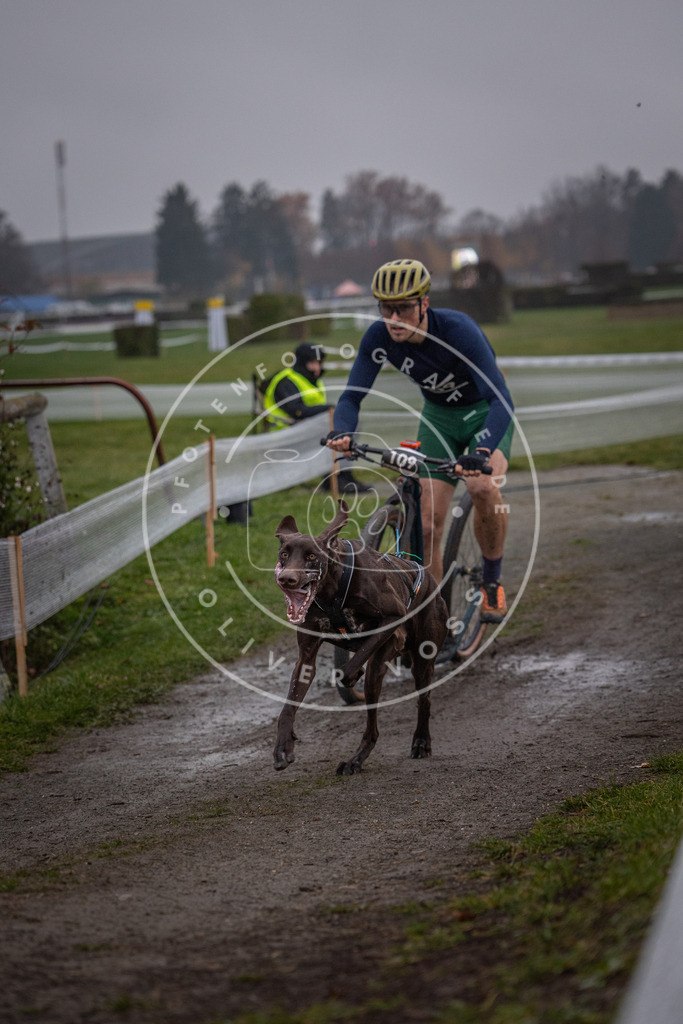 CaniXpix_0L8A0260 | Hundefotografie, Tierfotograf, Pfotenfotografie, Fotoshooting Hund, Hunde Portrait, Hundesport, Hundeportraits, Heideshooting, Hunde, Sportfotograf, Hundefotograf, Turnierhundsport, THS,  - Realisiert mit Pictrs.com